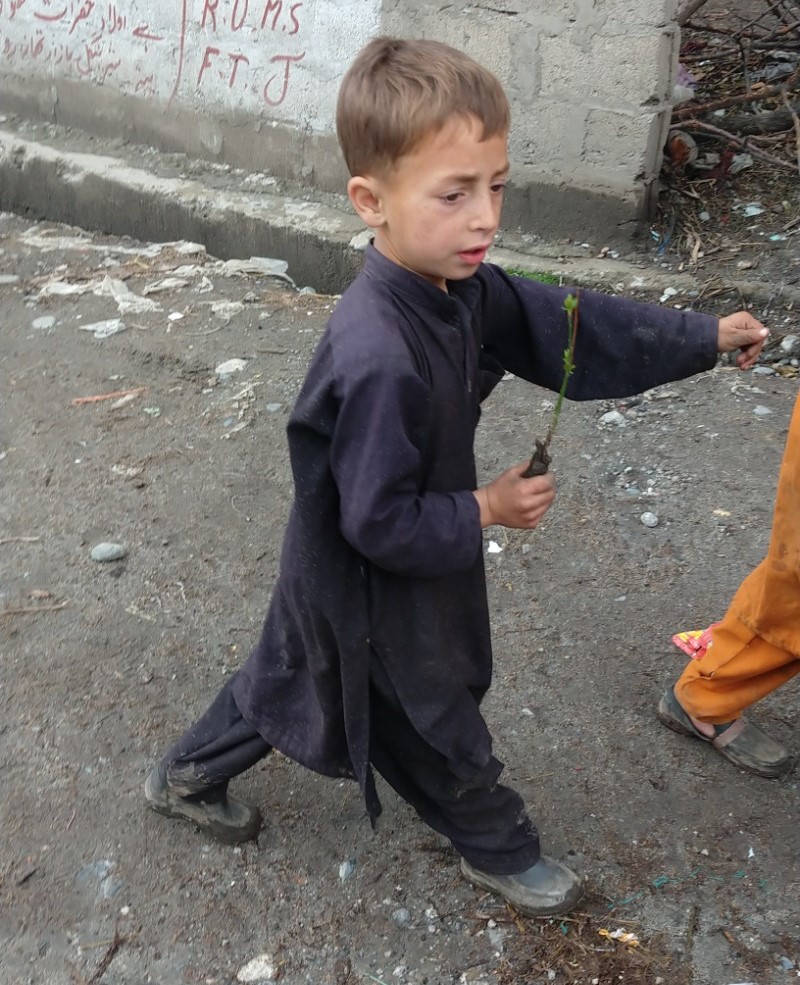 WhatsApp Image 2024-01-05 at 16.43.52_988f5bbd